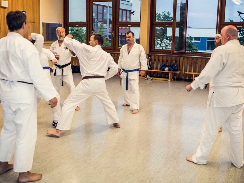 6 M&auml;nner im Karate Training